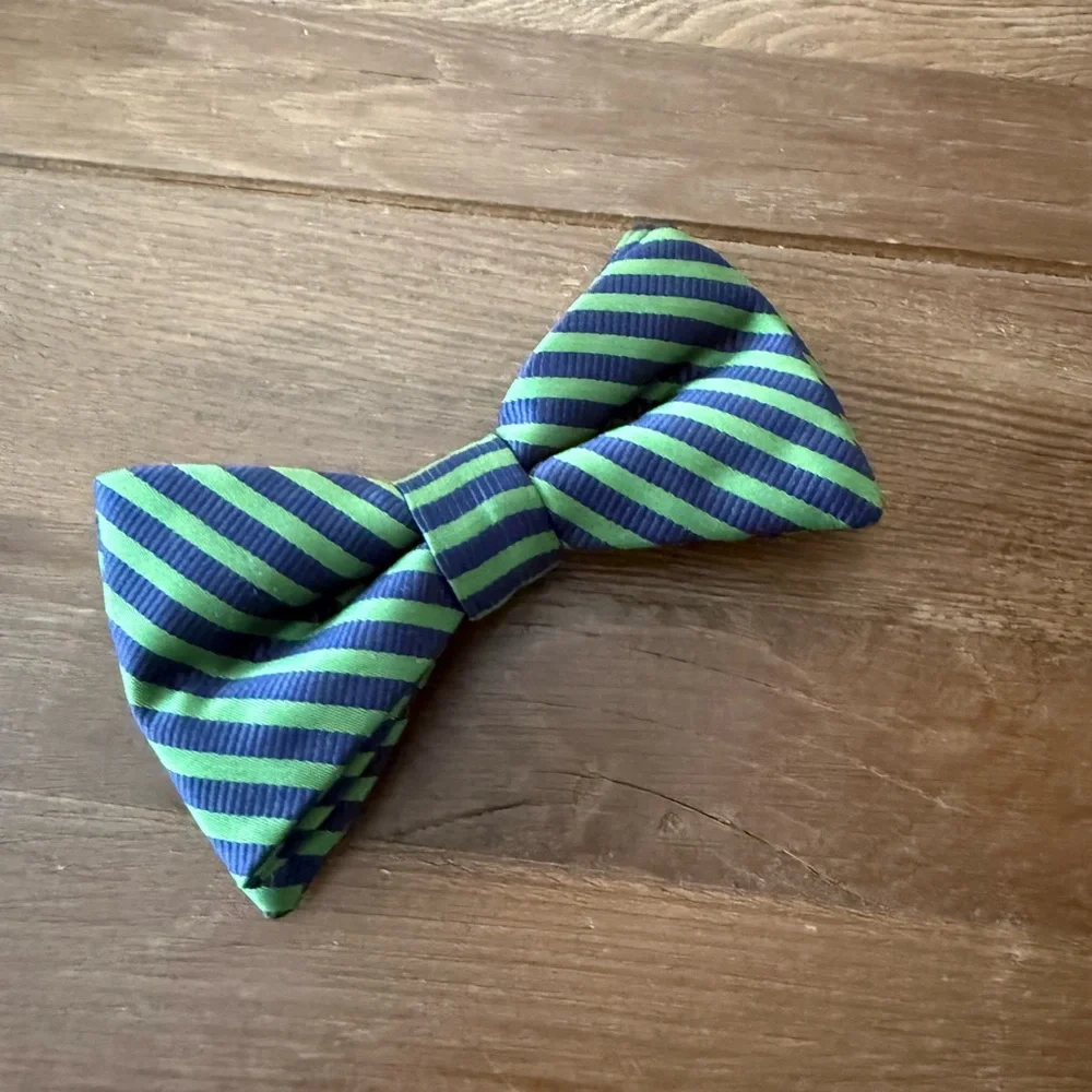 Green and Blue Striped Bow Tie